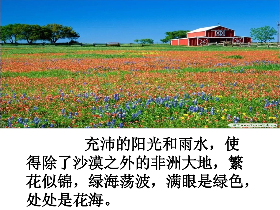 彩色的非洲_公开课课件_第3页