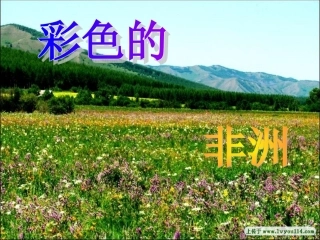 彩色的非洲_公开课课件