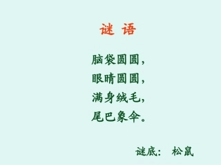 教案10松鼠和松果课件