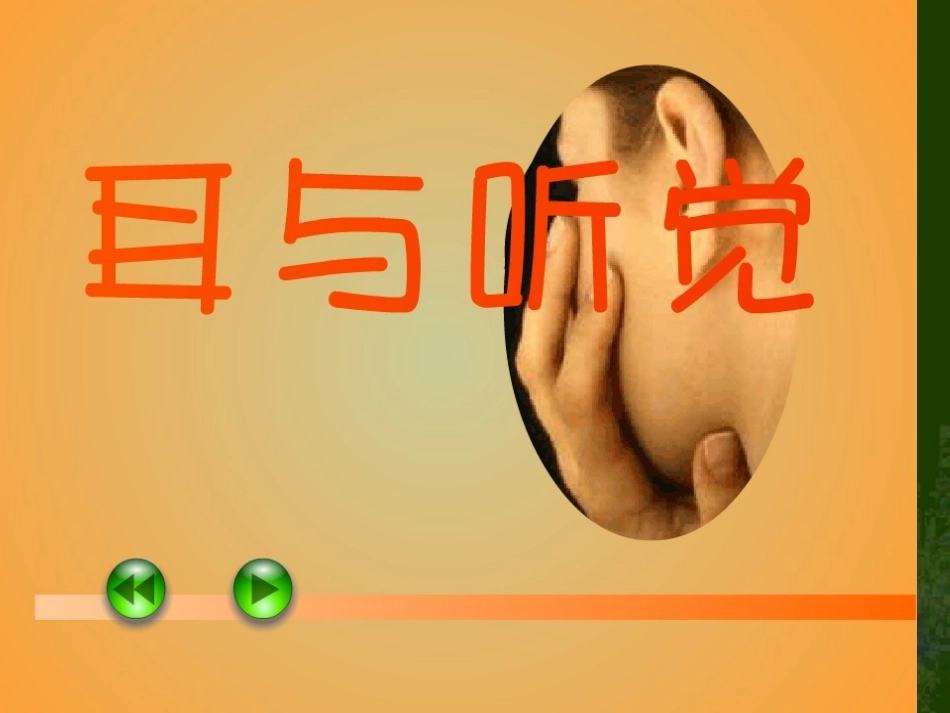 人体对外界环境的感知(耳)_第1页
