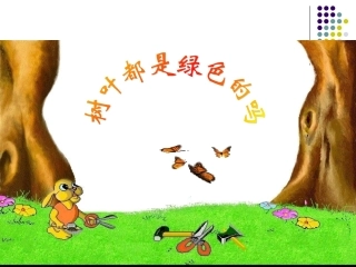 四年级上册：树叶都是绿色的吗