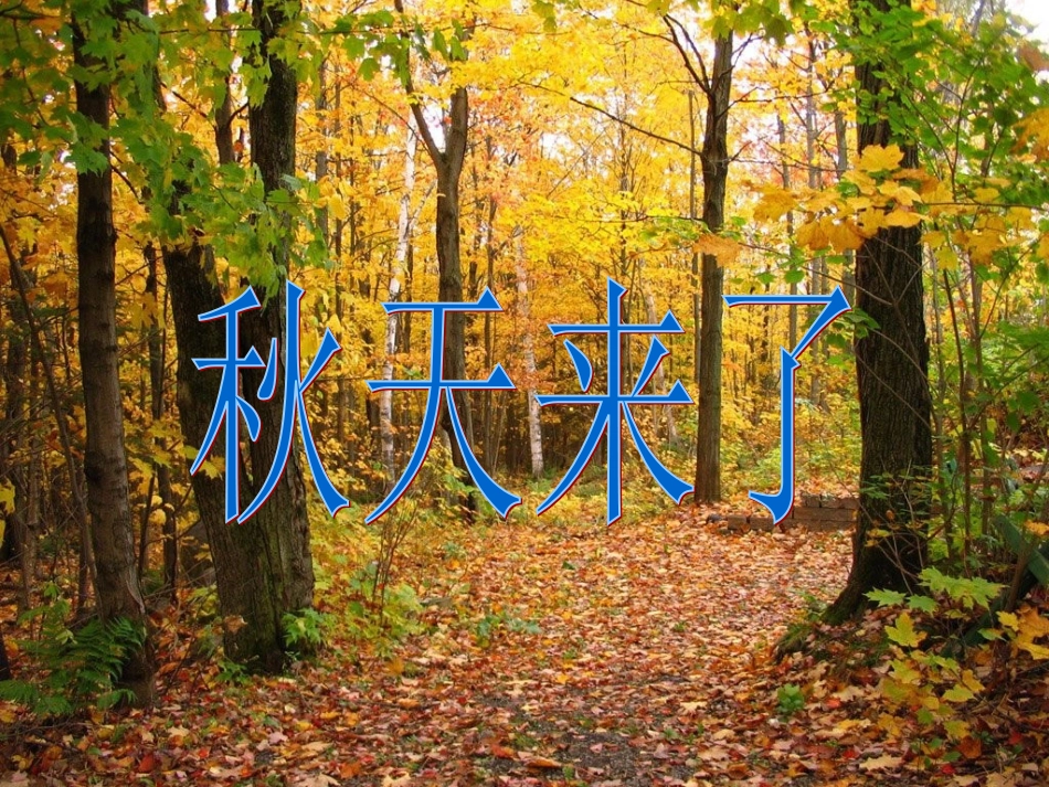 看图说话秋天来了_第1页