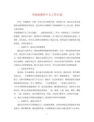 学校新教师个人工作计划