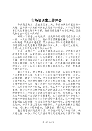 市场培训生工作体会