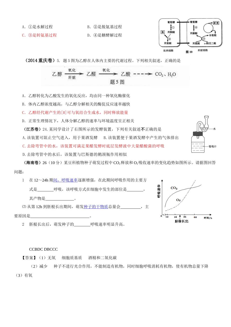 2014酶与ATP与细胞呼吸_第2页