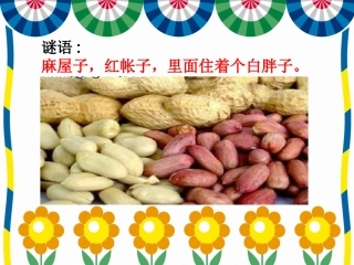 小松鼠找花生果 (3)