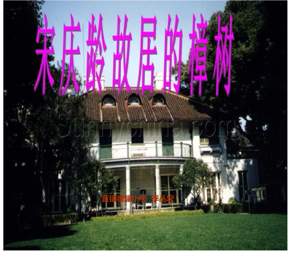 宋庆龄故居的樟树 (2)_第1页