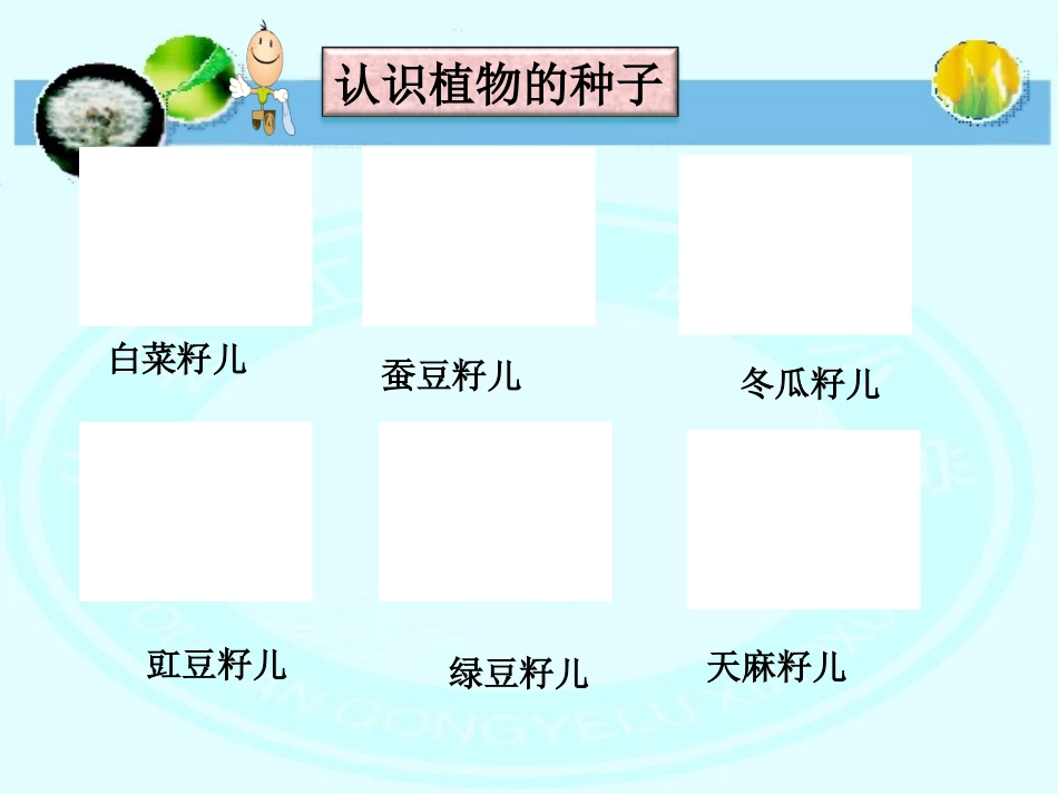 播撒希望的种子_第2页