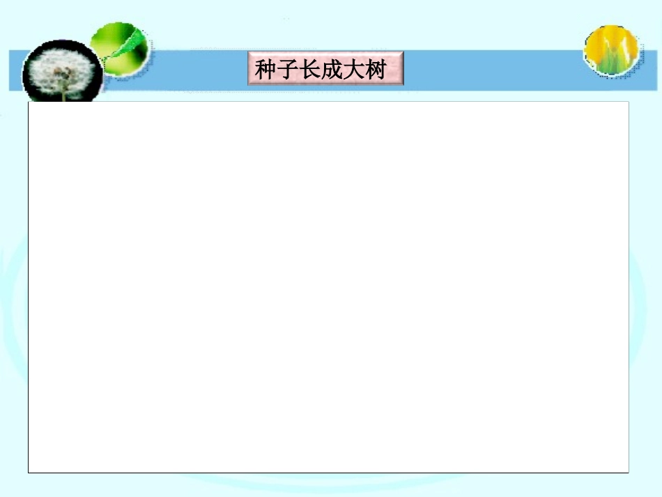 播撒希望的种子_第3页