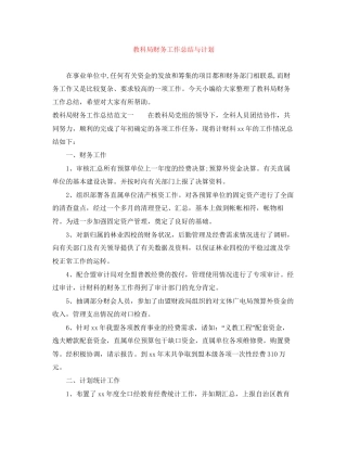教科局财务工作总结与计划