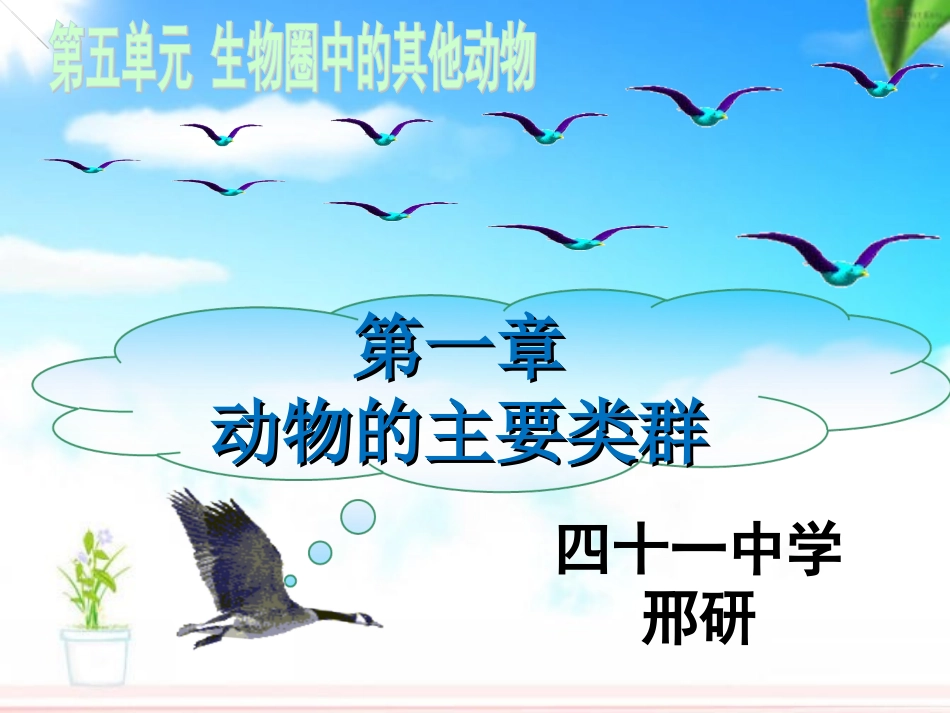 教研活动41中刑研鸟_第1页