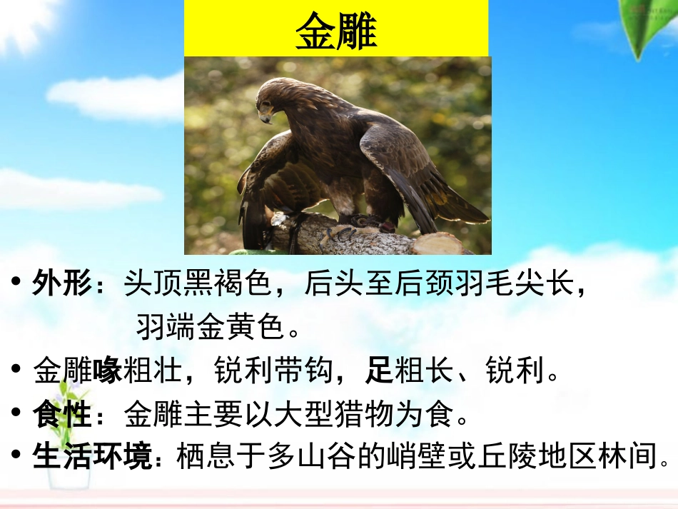 教研活动41中刑研鸟_第3页