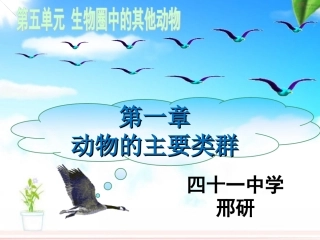 教研活动41中刑研鸟