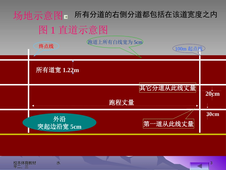 体育课课件（田径）_第3页