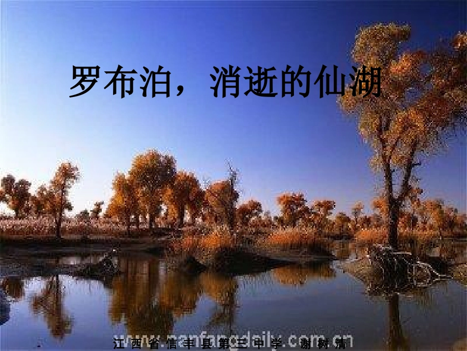 人教版八年级语文下《罗卜泊，消失的仙湖》课件_第1页