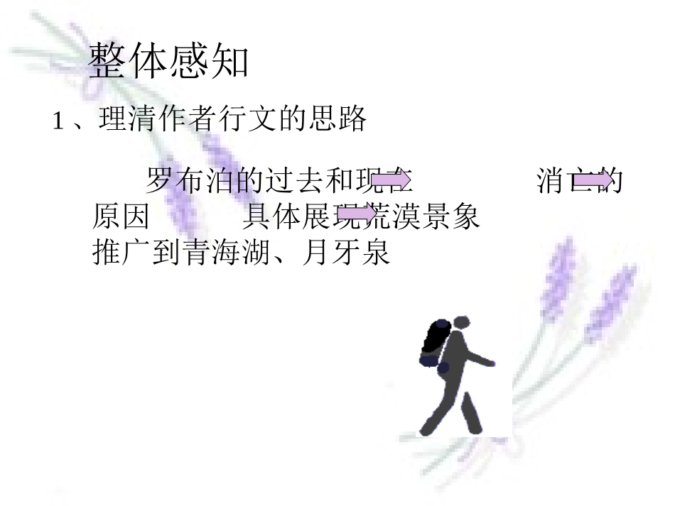 人教版八年级语文下《罗卜泊，消失的仙湖》课件_第3页