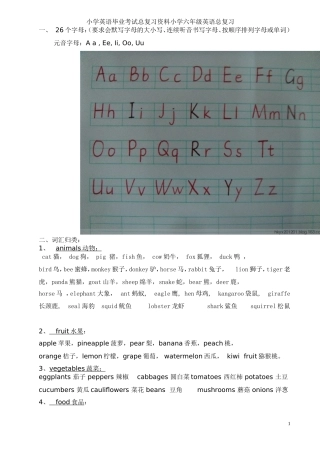小学英语毕业考试总复习资料小学六年级英语总复习