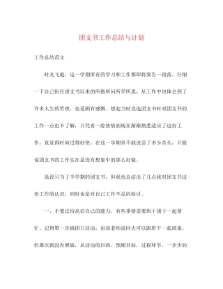 团支书工作总结与计划