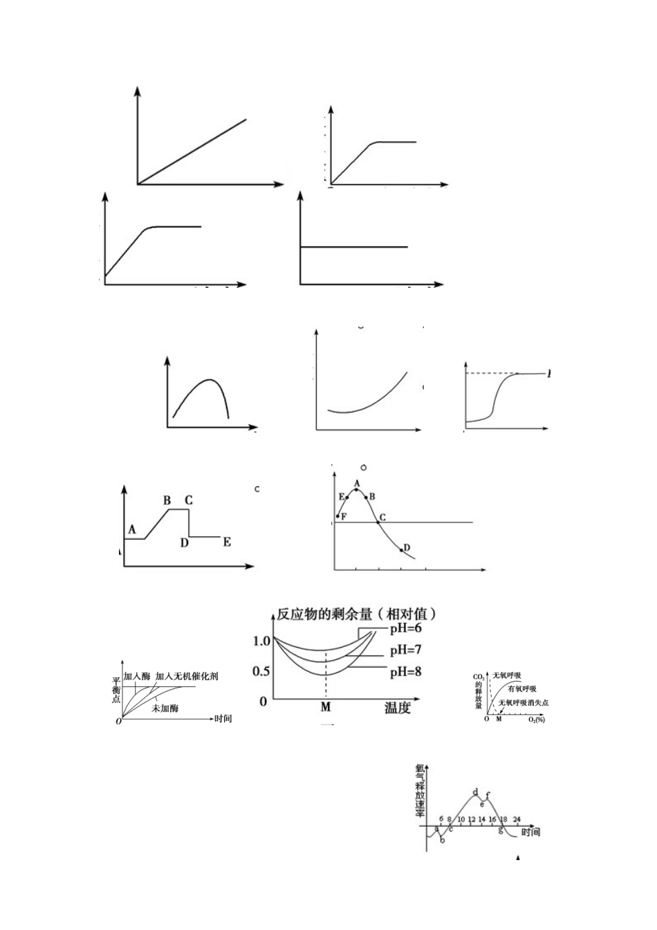 细胞的生命历程复习导学案_第3页
