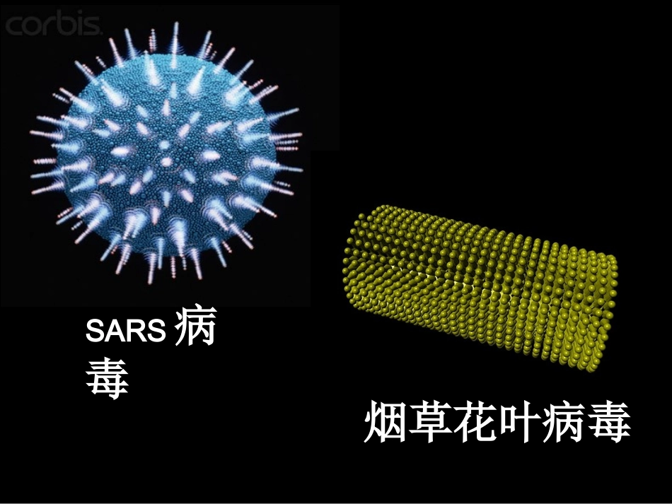 第四章第二节课件_第2页