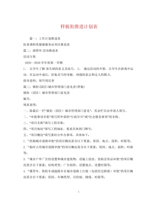 样板街推进计划表2