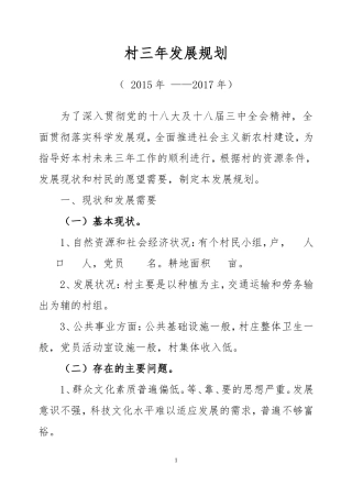 村三年发展规划