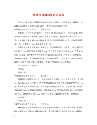 申请资金请示报告怎么写 