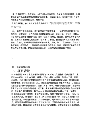 无花果项目商业计划书