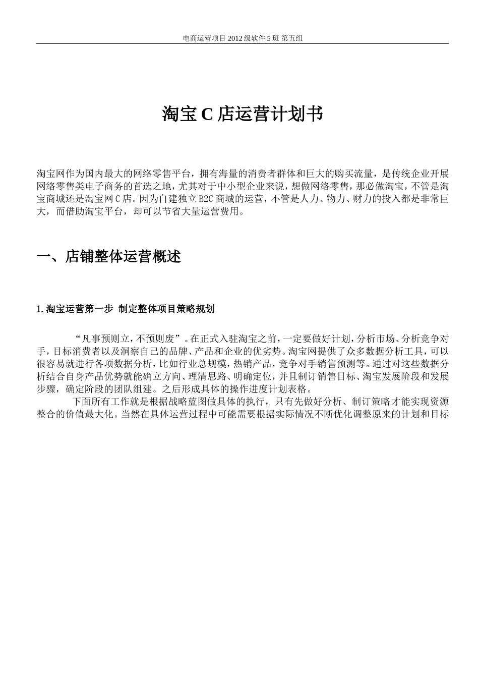 电商运营计划书_第3页