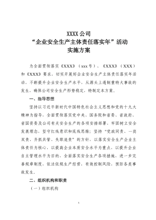 “企业安全生产主体责任落实年”活动实施方案