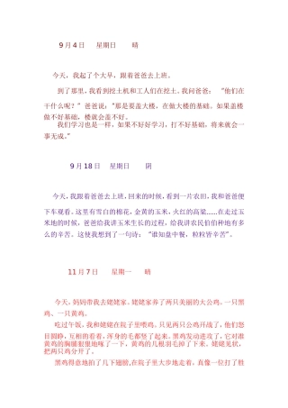 二年级日记范文