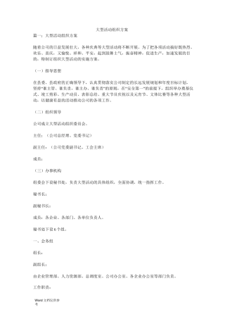 大型活动组织方案