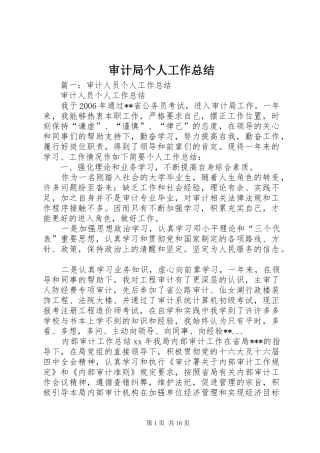 审计局个人工作总结 