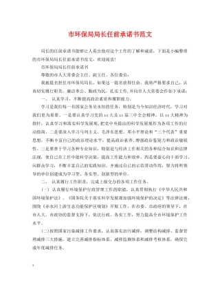 市环保局局长任前承诺书范文 