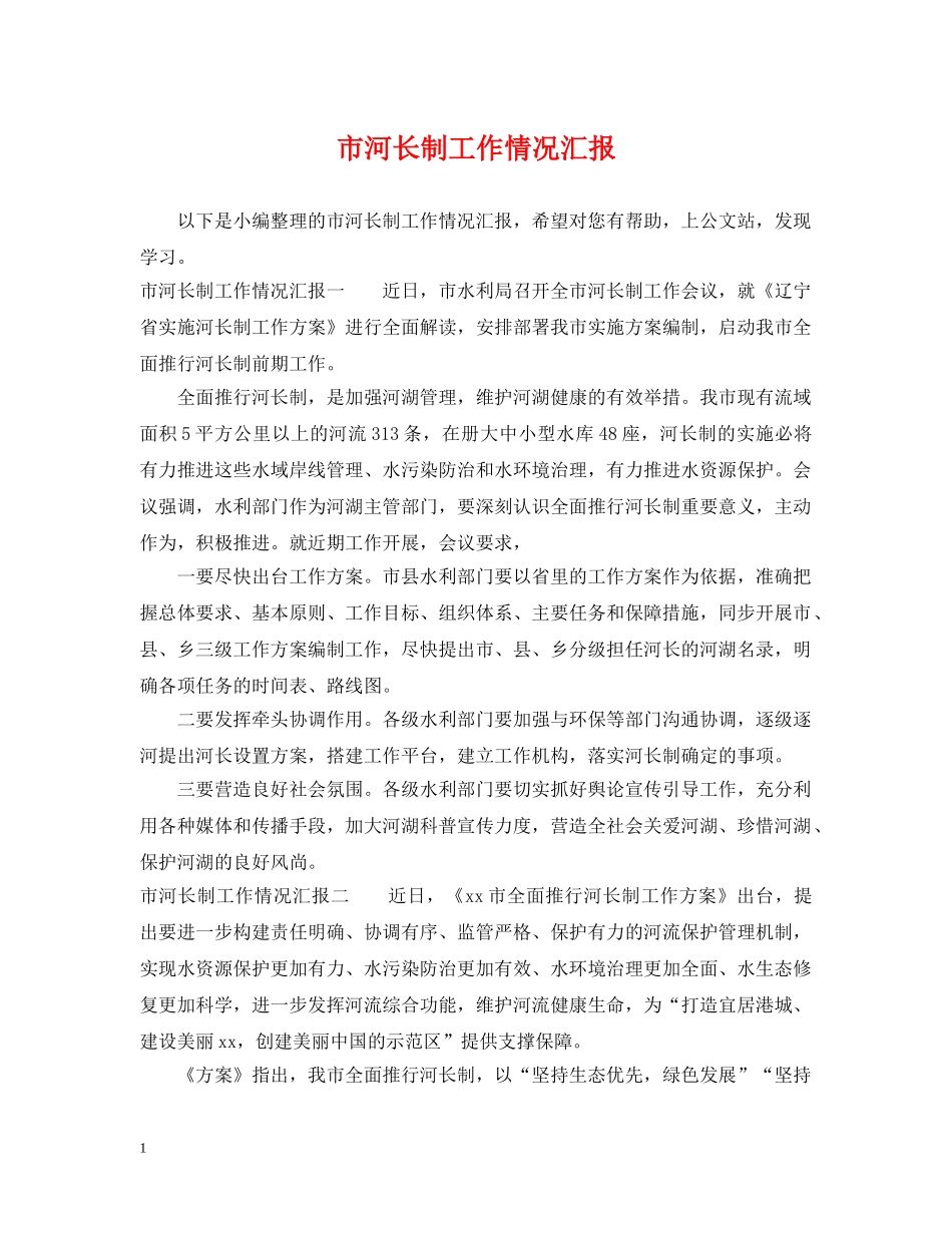 市河长制工作情况汇报 _第1页