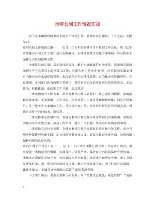 市河长制工作情况汇报 