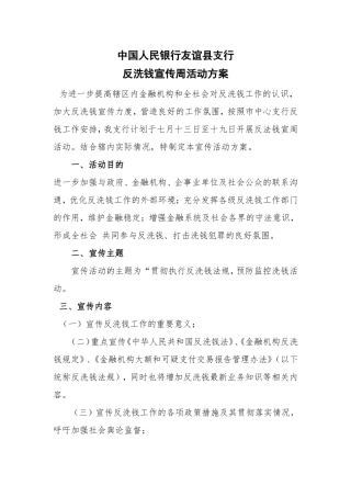 反洗钱宣传方案