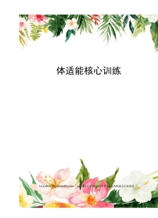 体适能核心训练