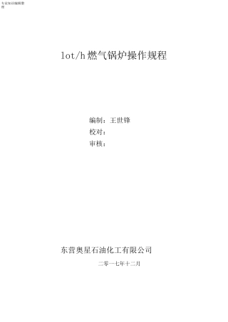 燃气蒸汽锅炉操作规程完整