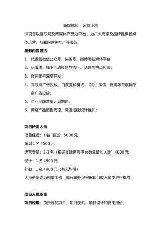 互联网项目运营计划