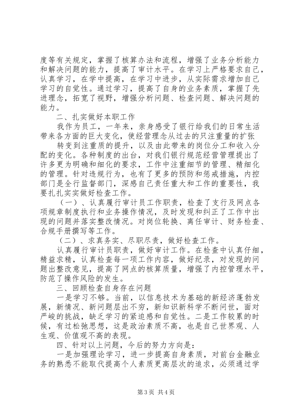 审计XX年终总结 _第3页