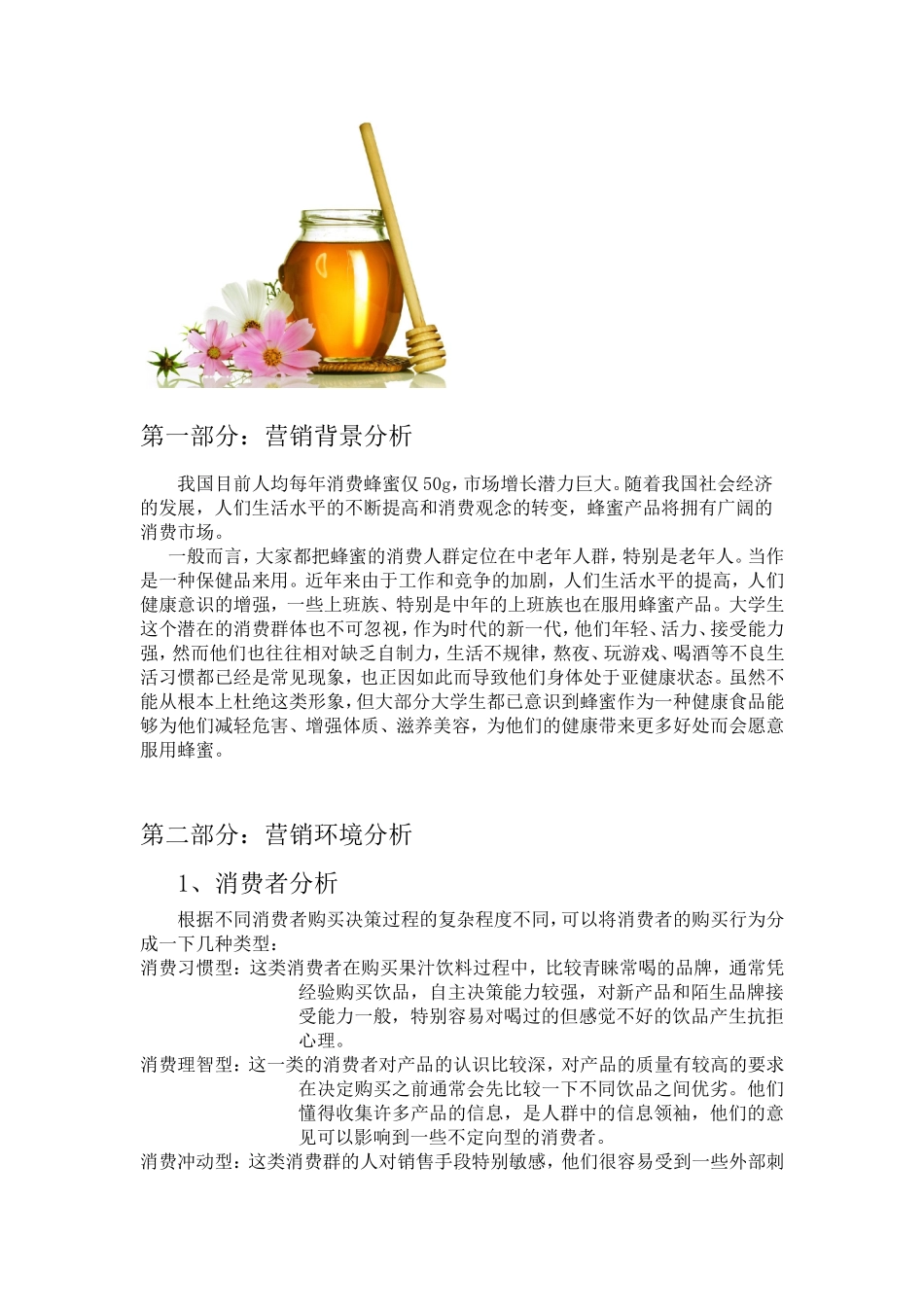 蜂蜜营销策划方案_第3页