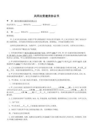 共同出资建房协议书