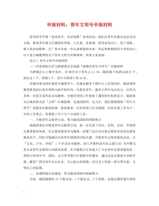 申报材料：青年文明号申报材料 