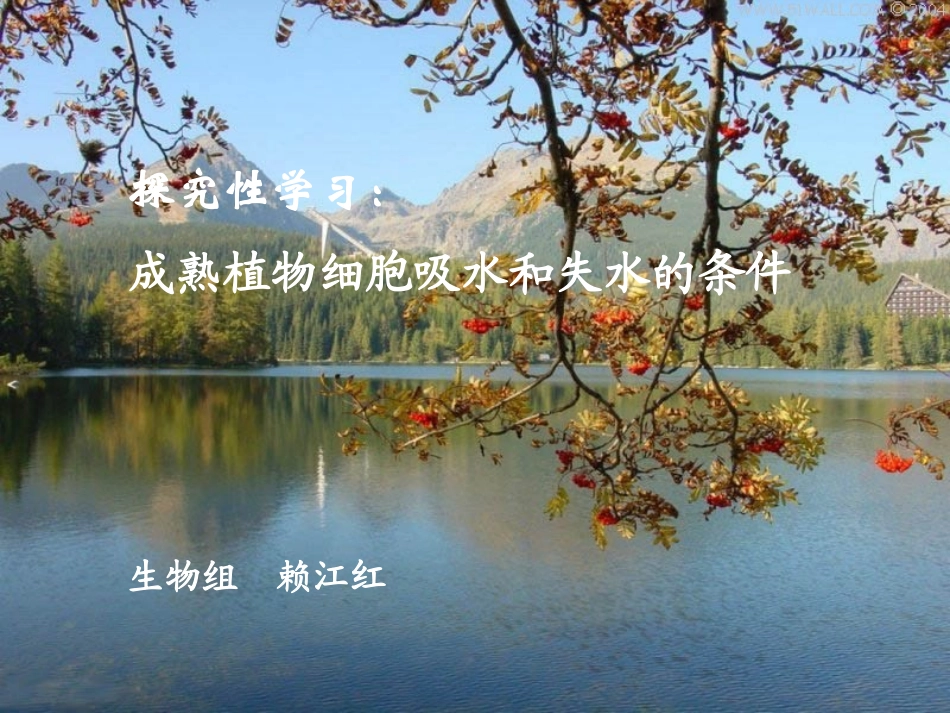质壁分离与复原_第1页