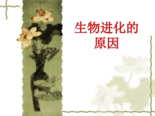 生物进化的原因 (2)