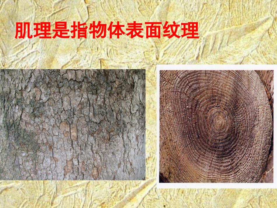 美术--肌理与应用_第3页