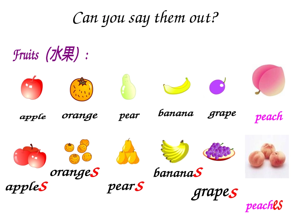 总复习专题六食物_第2页