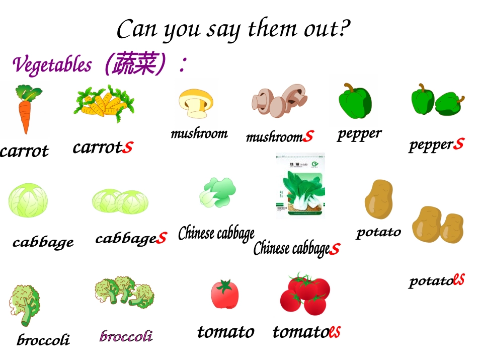 总复习专题六食物_第3页