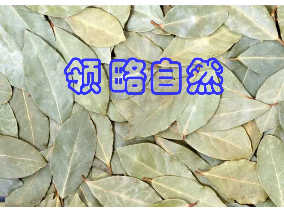 敬畏自然 (3)_第1页